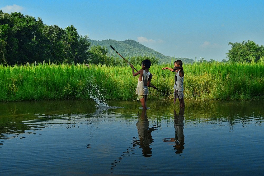 Фотография автора Sadiqur Rahman