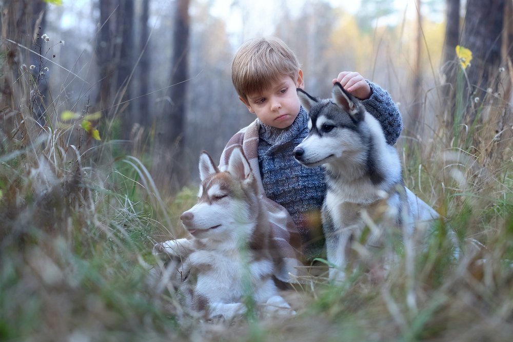 Photograph by Татьяна Некрылова