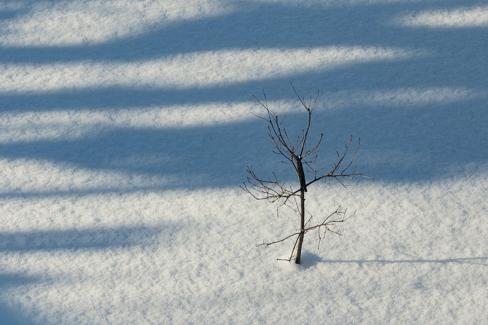 Игра теней.