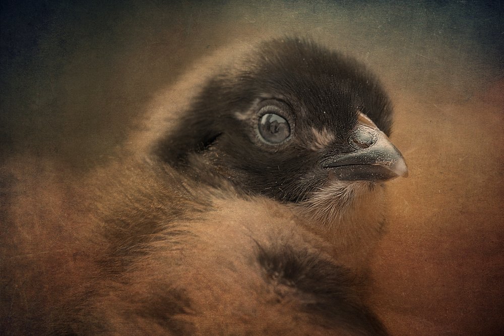 Photograph by Наталия Звиададзе