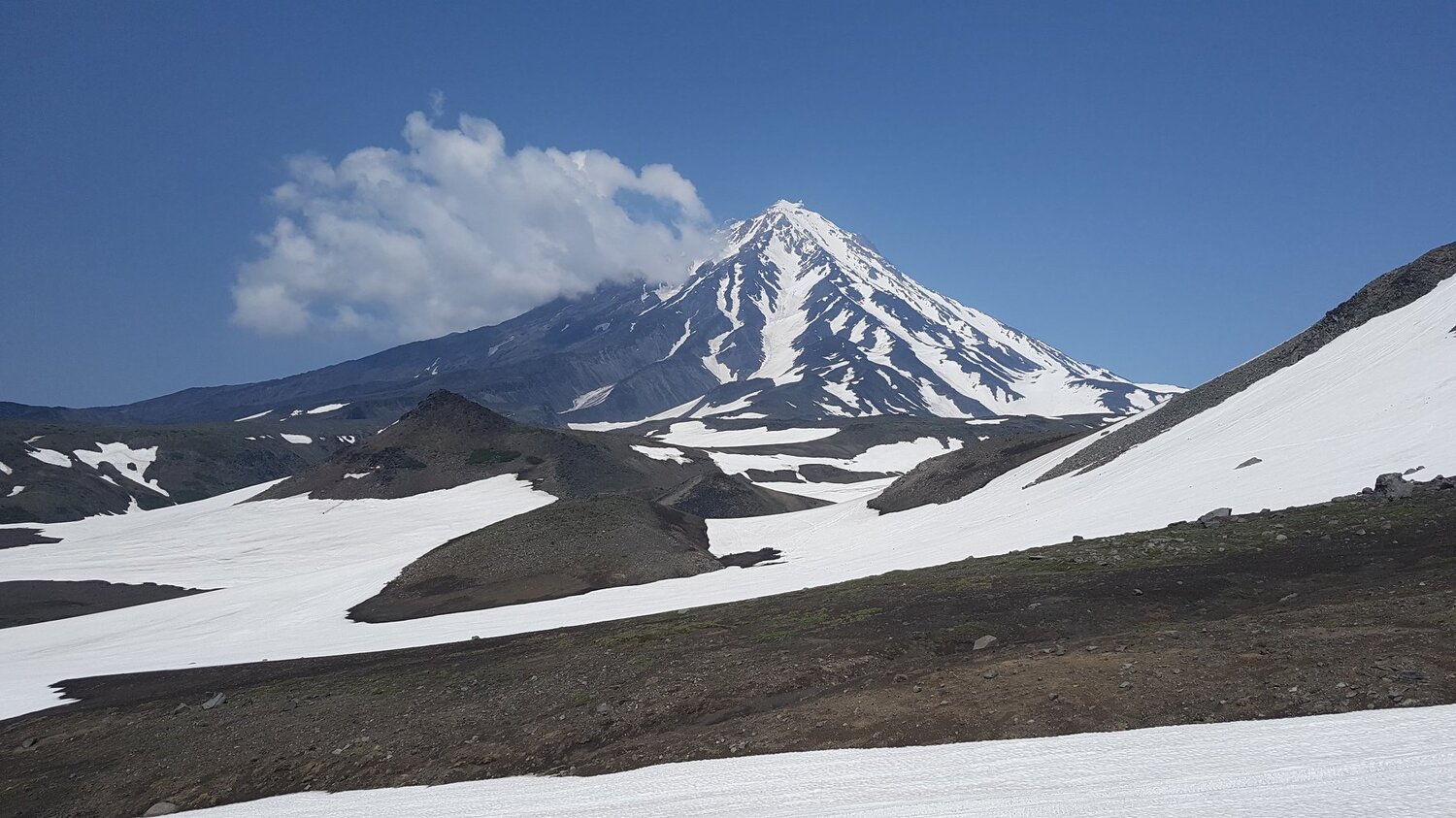 Photo #3965013
