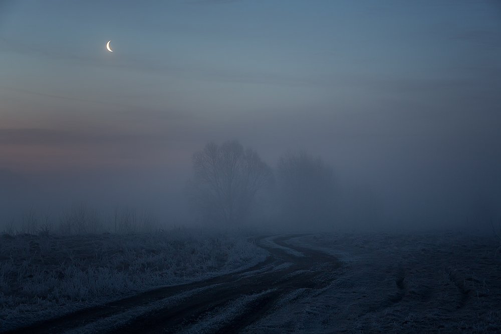 Фотография автора Юрий Сорокин