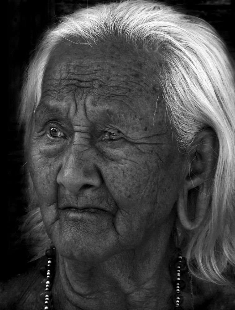 Фотография автора MINH GIẢNG PHẠM