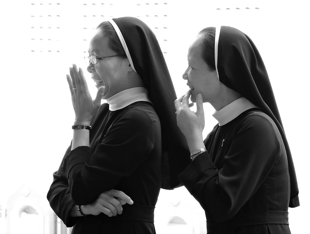 Фотография автора MINH GIẢNG PHẠM