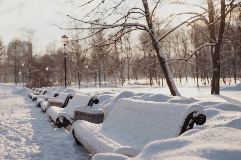 Photograph by Юлия Ильина