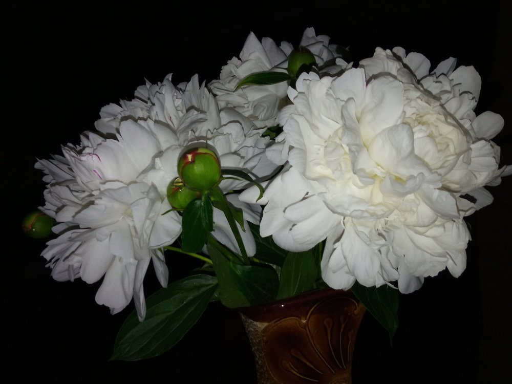 Ночной букет