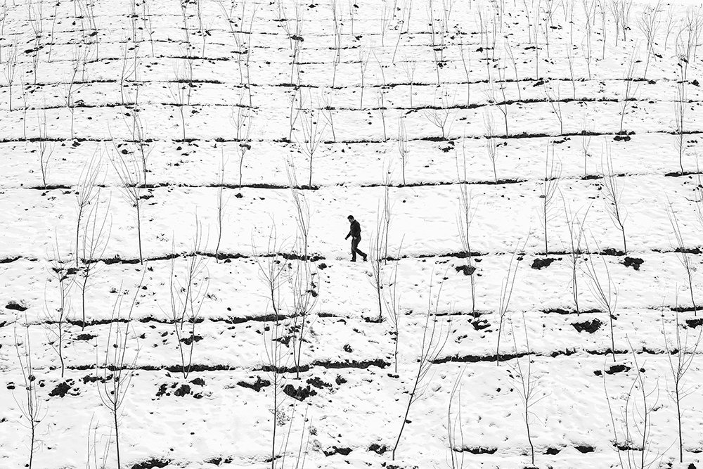 Photograph by Alireza Shahnazi