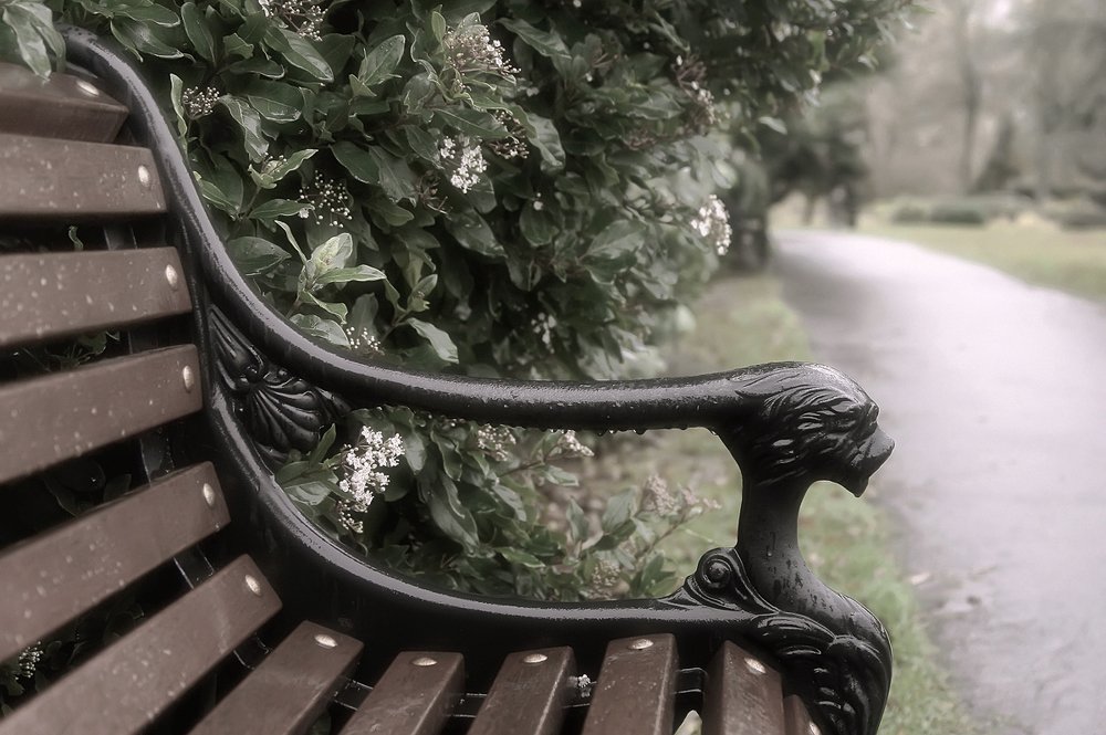 Фотография автора Елена Лаврова