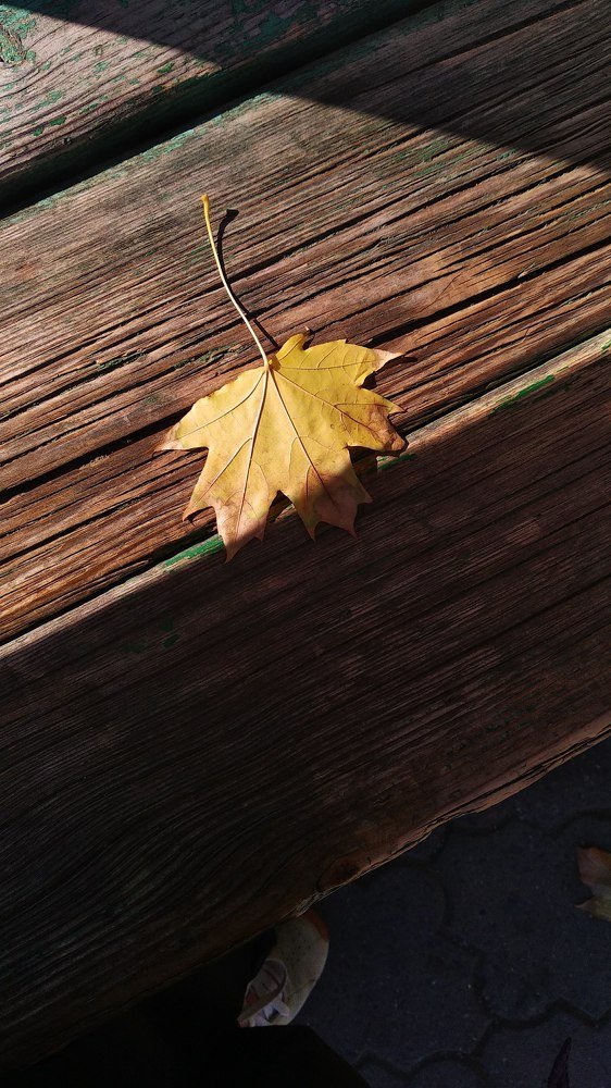 Фотография автора Alexandra Baranova