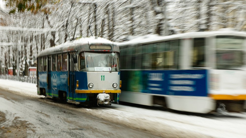 Photograph by Ирина Соболева