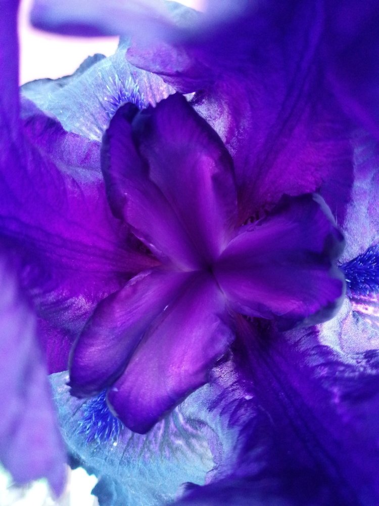 Photograph by Роман Сорокин