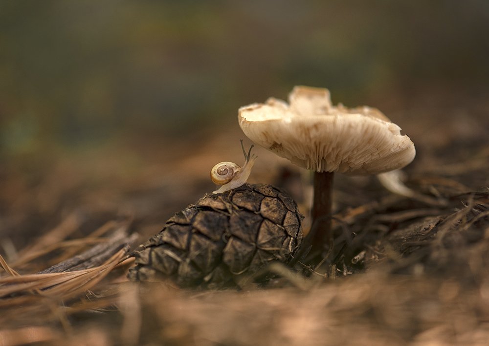 Photograph by Елена Осколкова