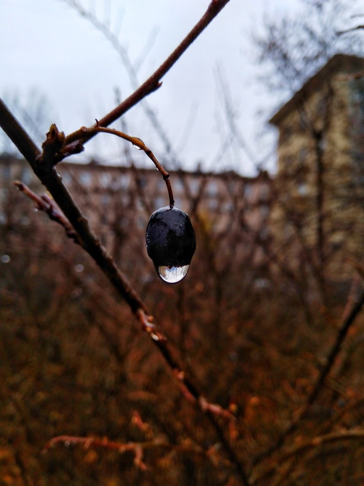 Фотография автора Виктор Конев