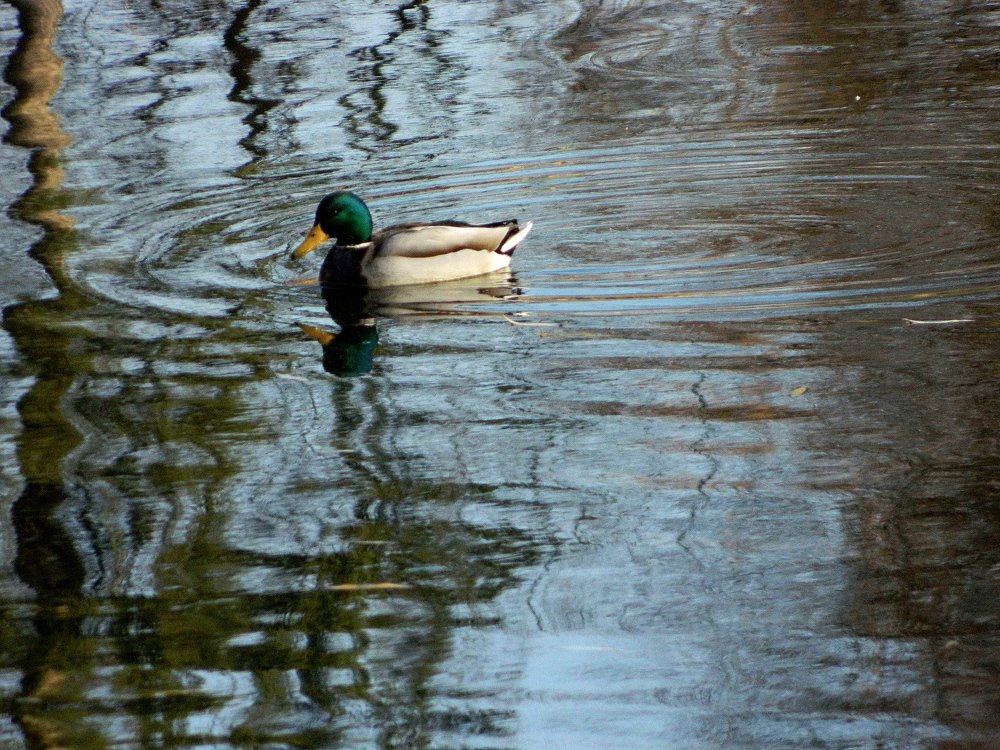 Photograph by Сергей Рапопорт