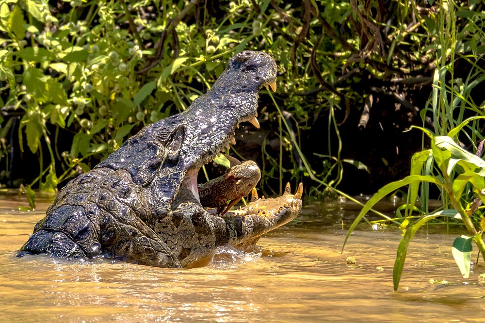 Photograph by Александр Маркелов