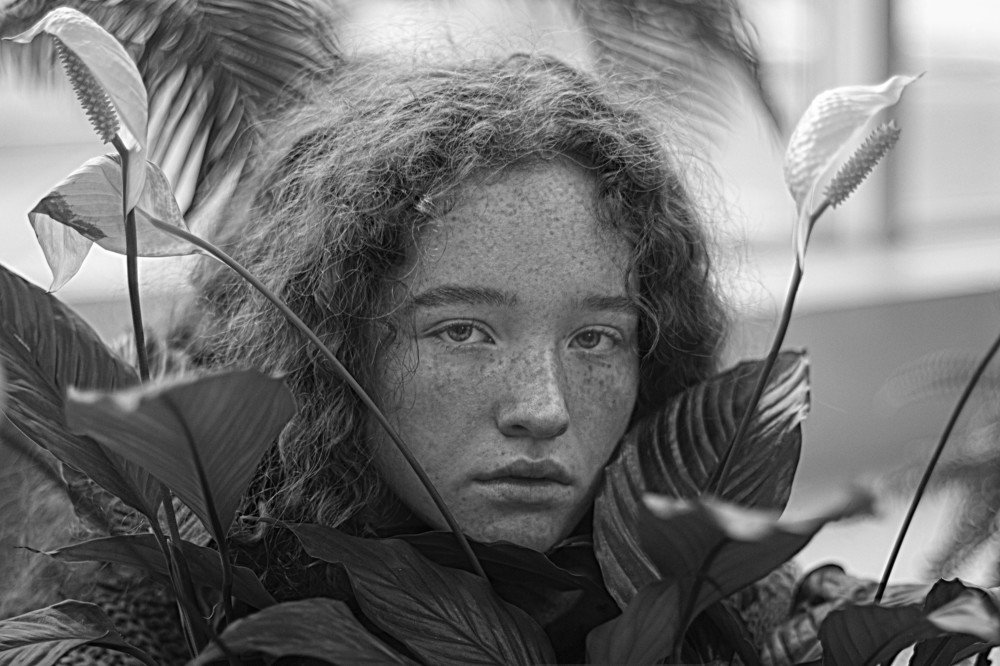 Photograph by Дмитрий Медянников