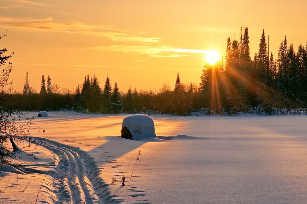Photograph by Владимир Максименков