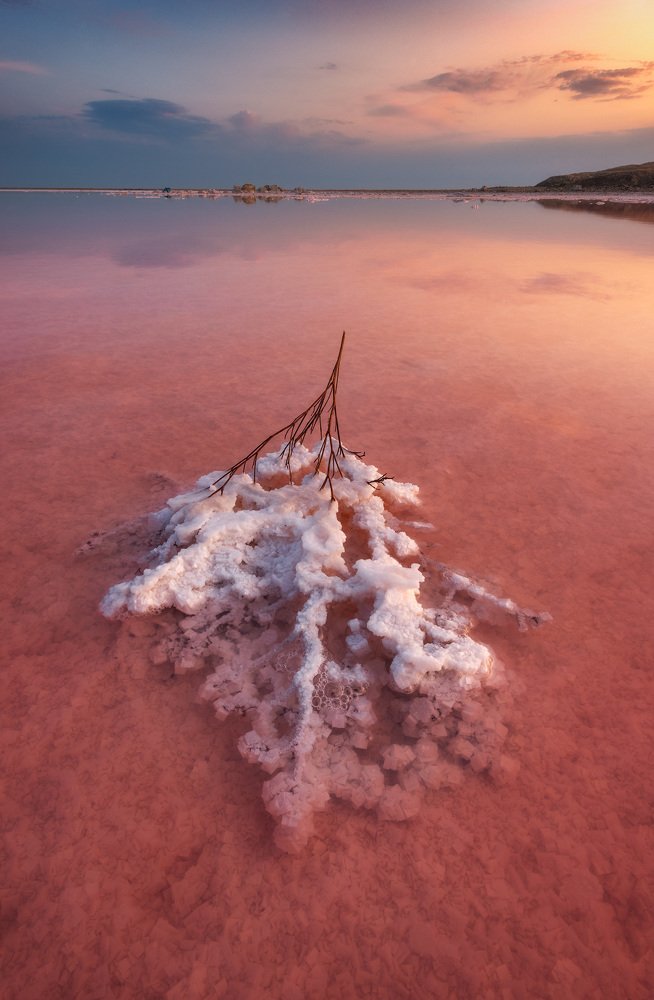 Photograph by Лузанов Вячеслав