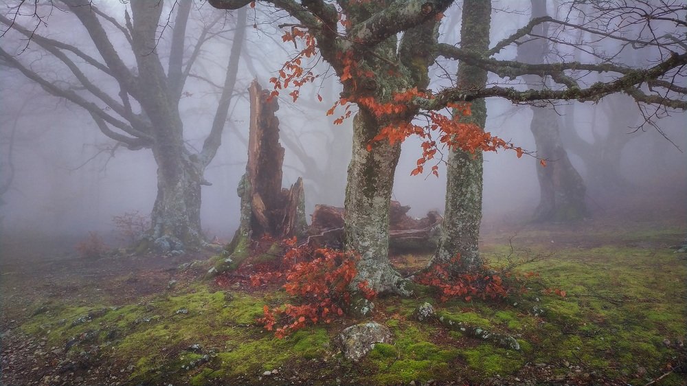 Photograph by Лузанов Вячеслав