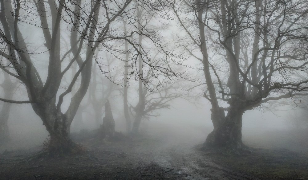 Photograph by Лузанов Вячеслав