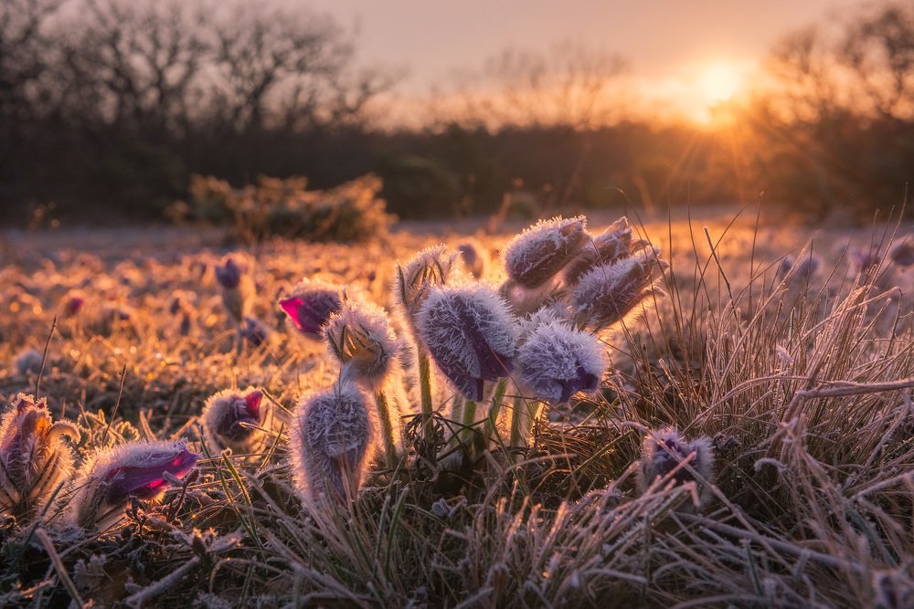 Photograph by Лузанов Вячеслав