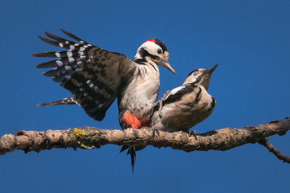 Photograph by Лузанов Вячеслав