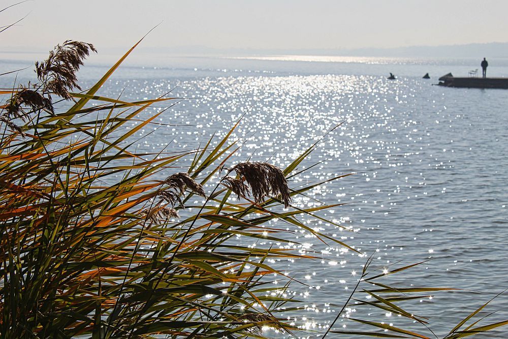 Photograph by Sandor Zoltan Gal