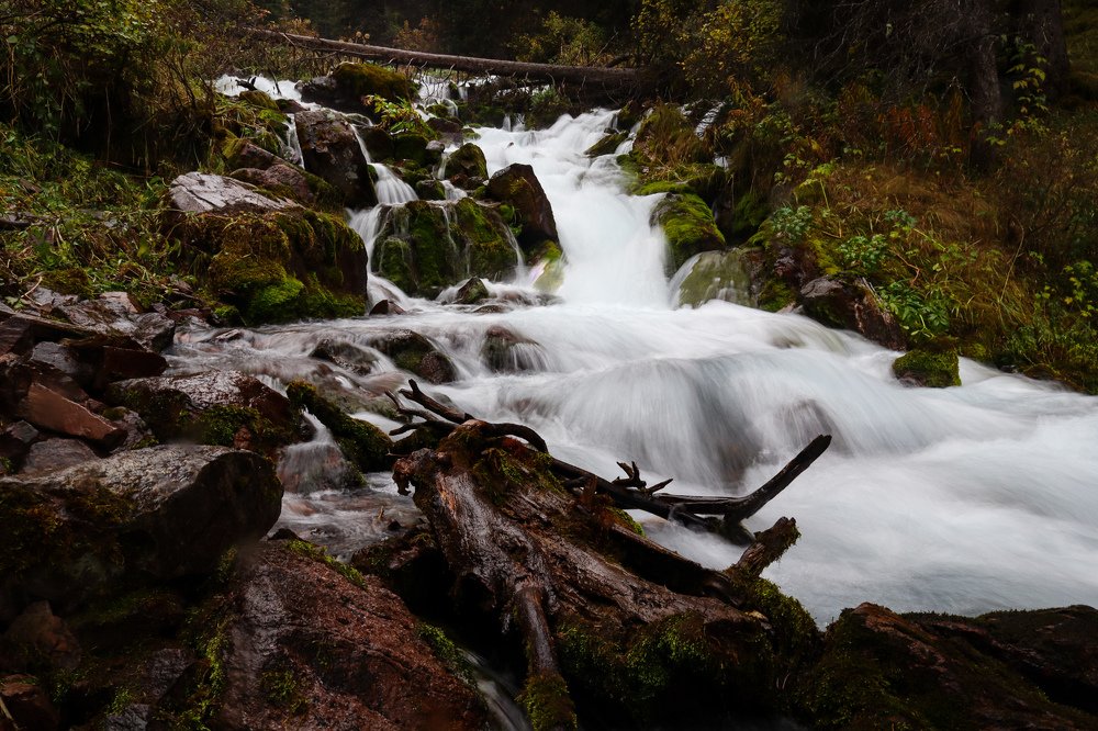 Photograph by Куба Тагайбеков