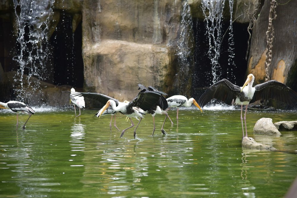 Photograph by Людмила Воропаева