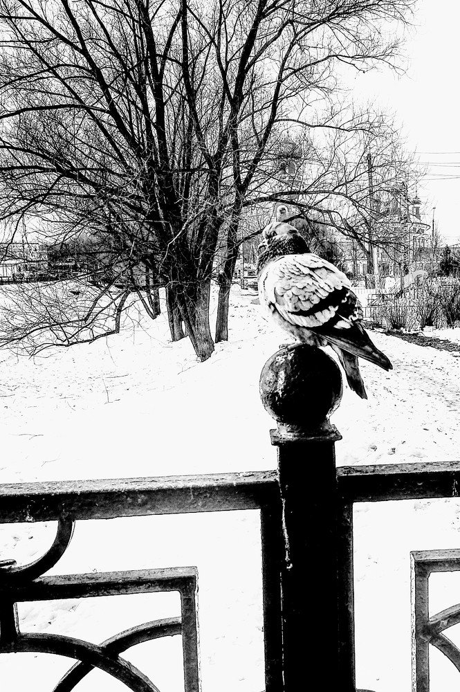 Photograph by Марина Мишина