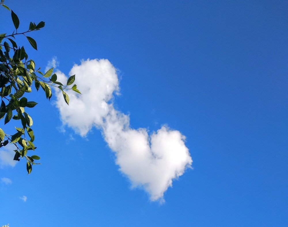 Photograph by Марина Мишина