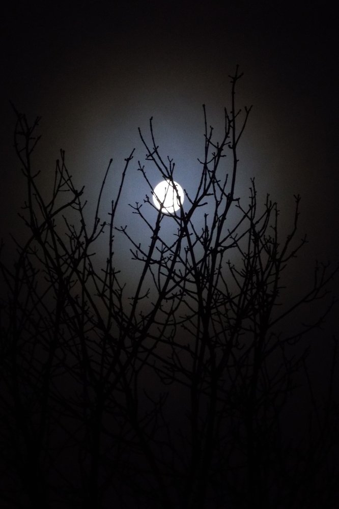 Фотография автора Виктор Конев