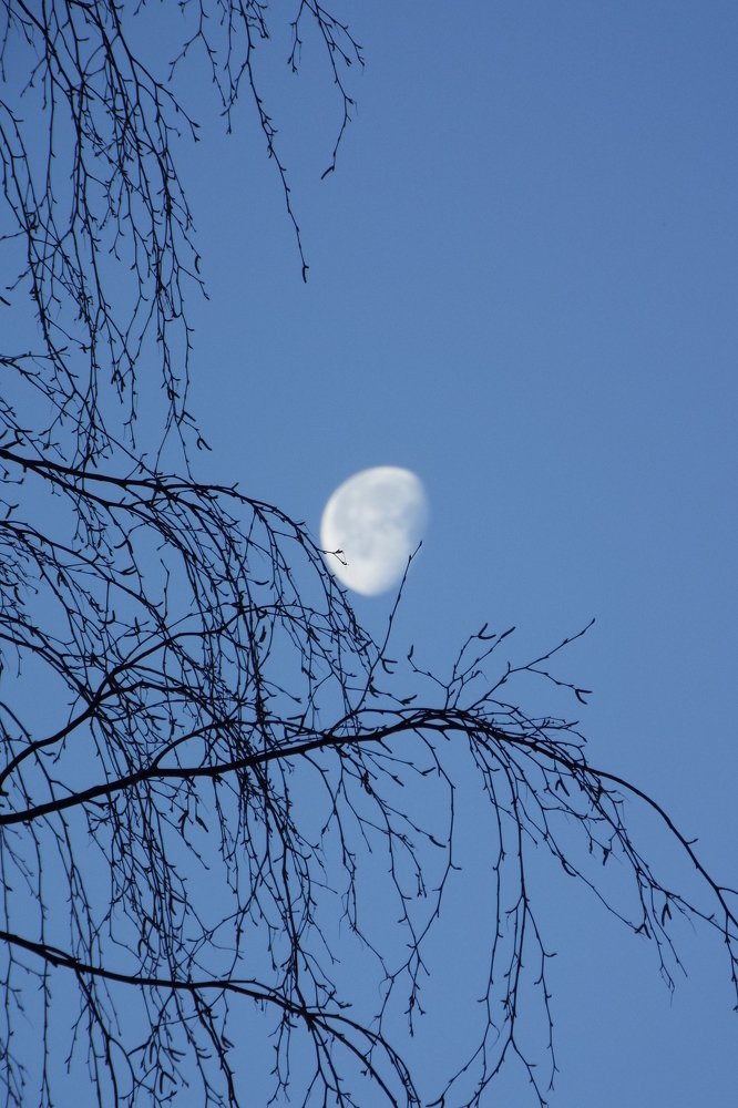 Фотография автора Виктор Конев