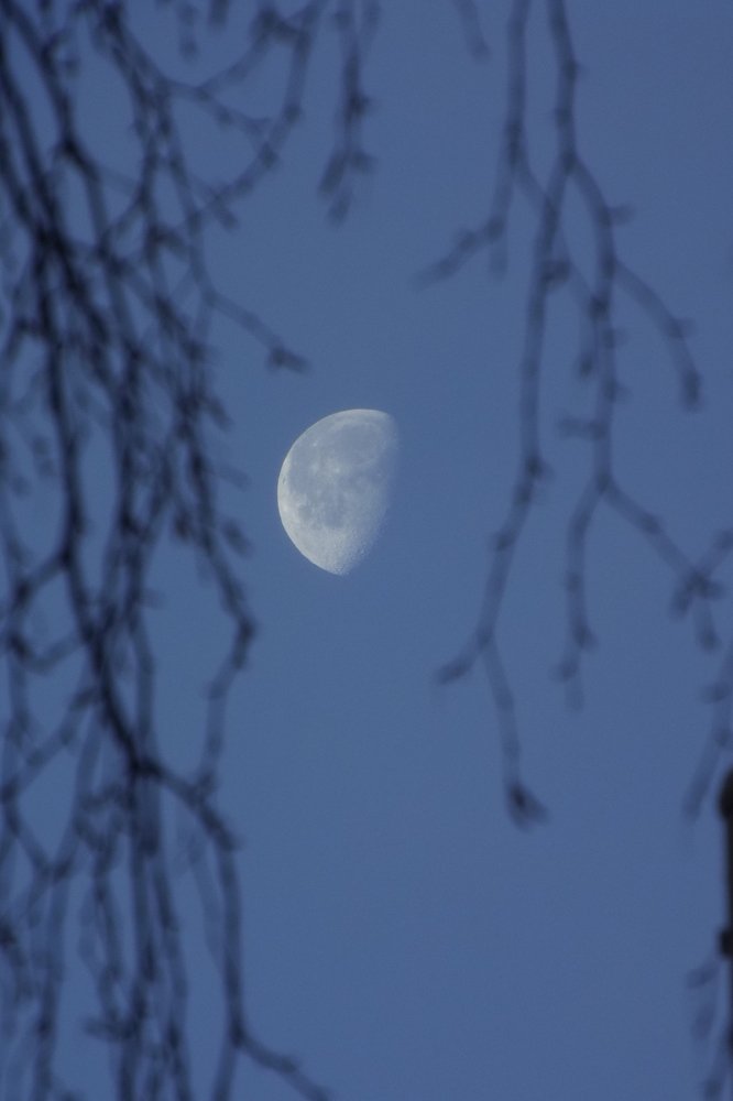 Фотография автора Виктор Конев