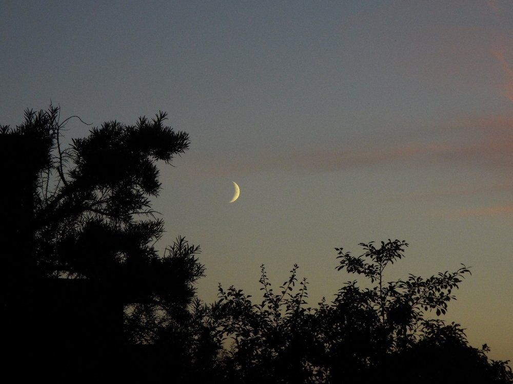 Фотография автора Виктор Конев