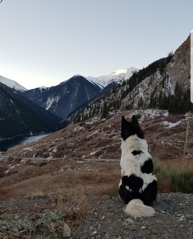 Photograph by Olga Chichibaba