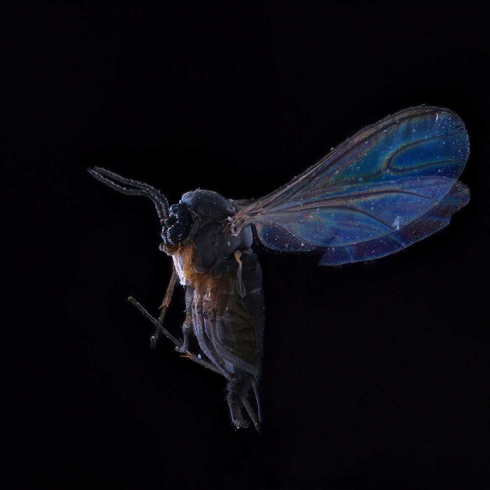 Photograph by Антон Орленко