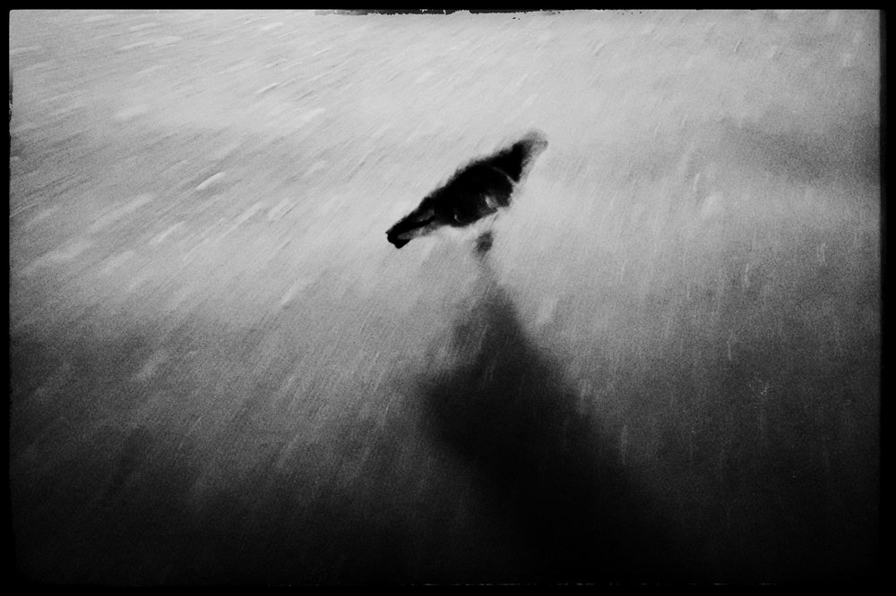Photograph by Veronika Zhylkina