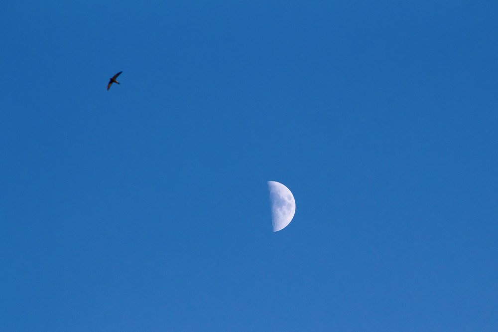 Прогулка при луне!