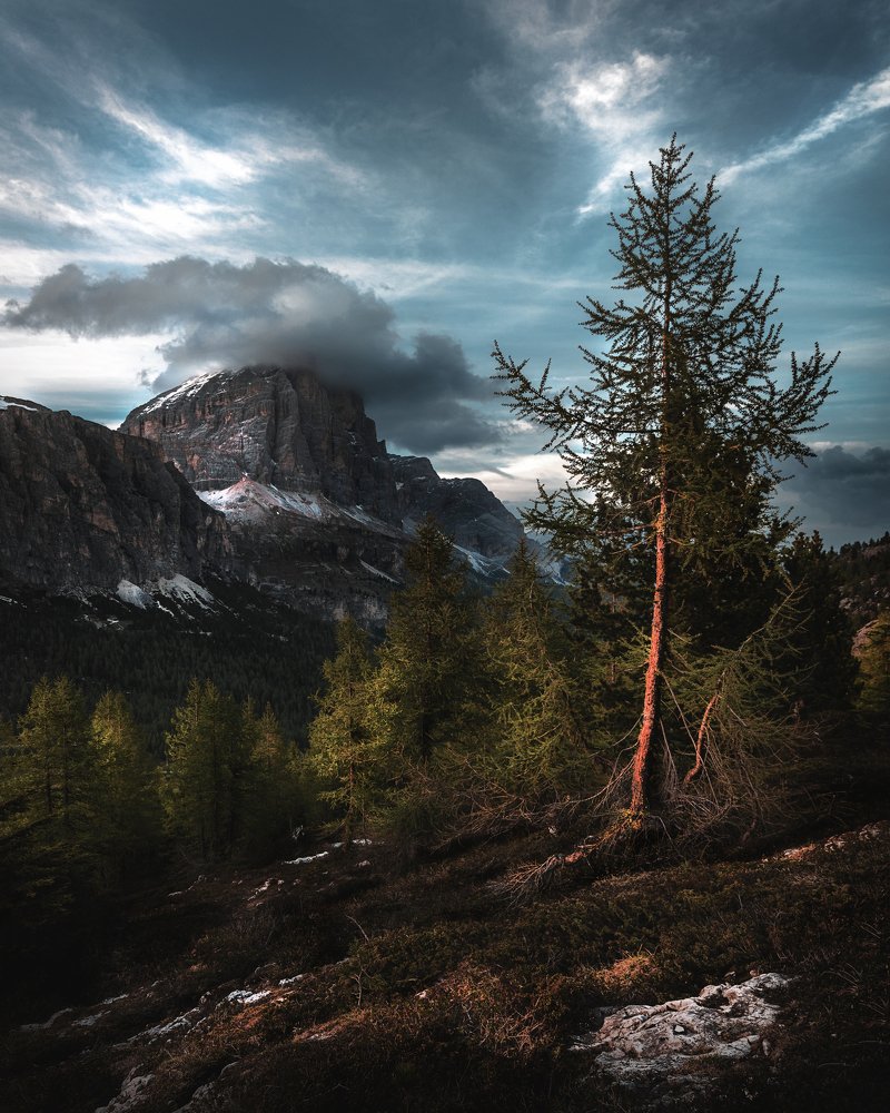 Photograph by Сергей Быков