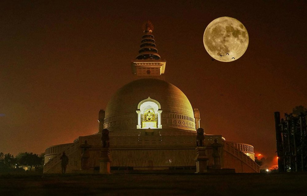 Фотография автора RAHUL TRIPATHI