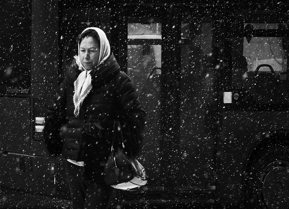 Фотография автора Елена Лаврова