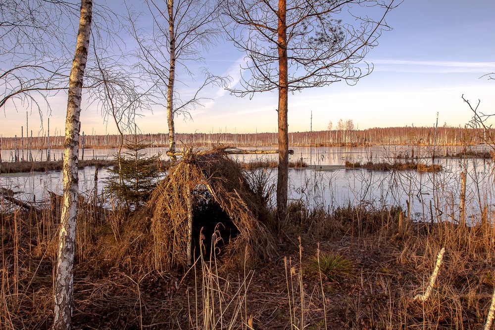 Охотничья засидка