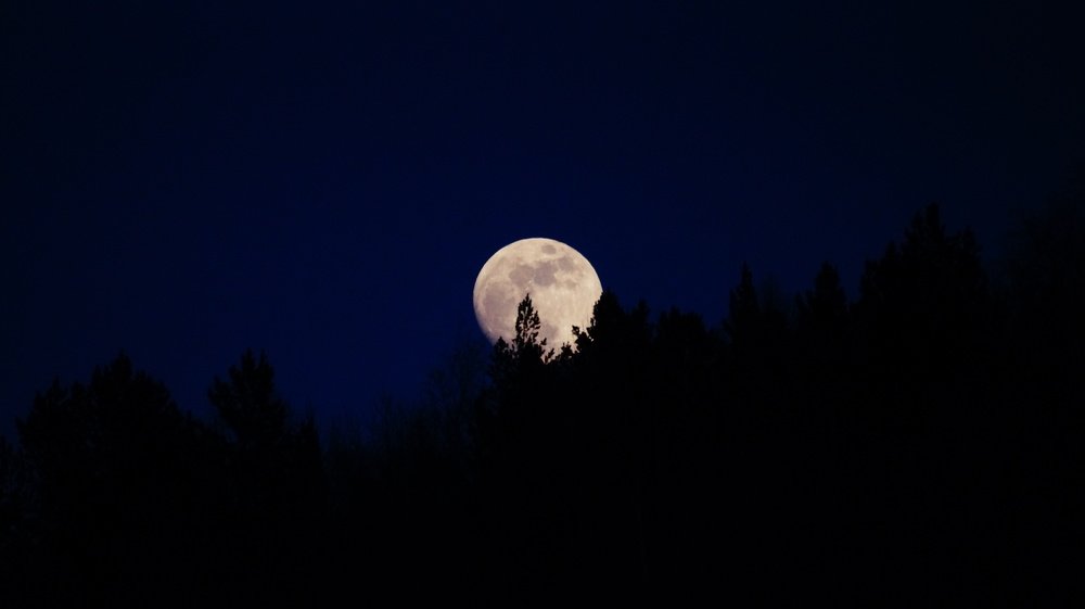 Photograph by Алексей Миронов