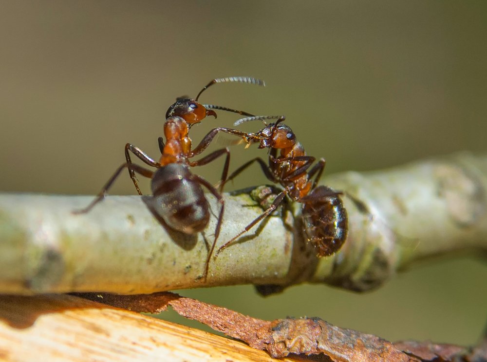 Фотография автора Юрий Макаров