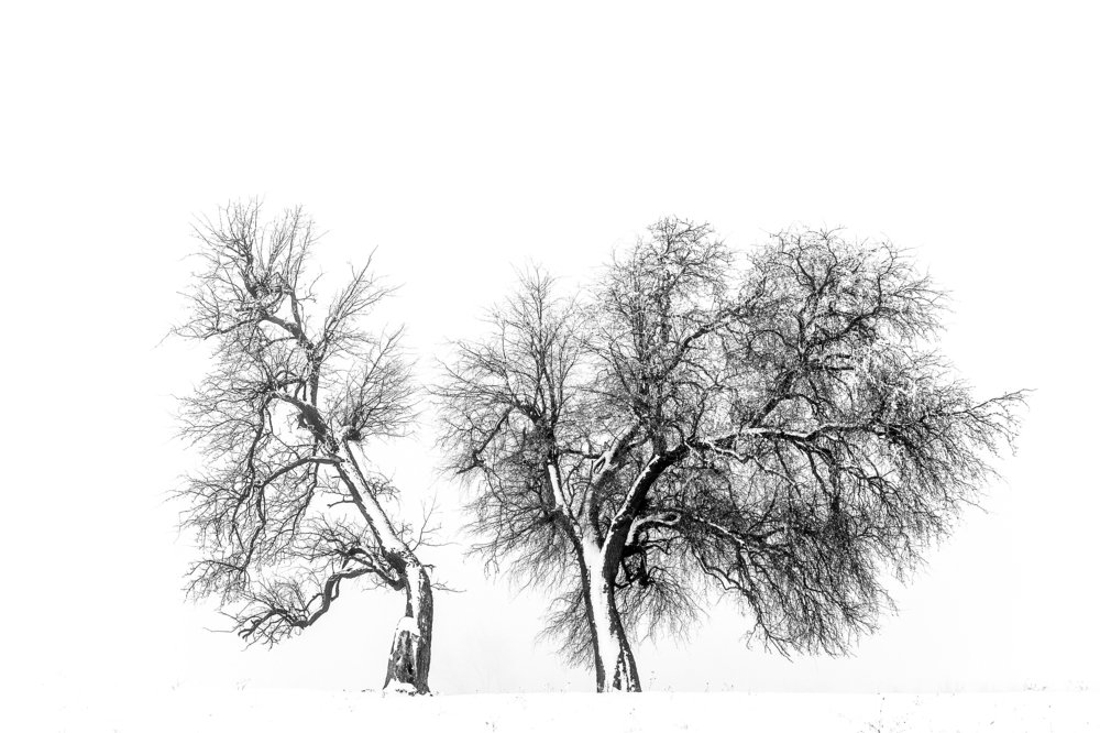 Photograph by Szűcs Boldizsár