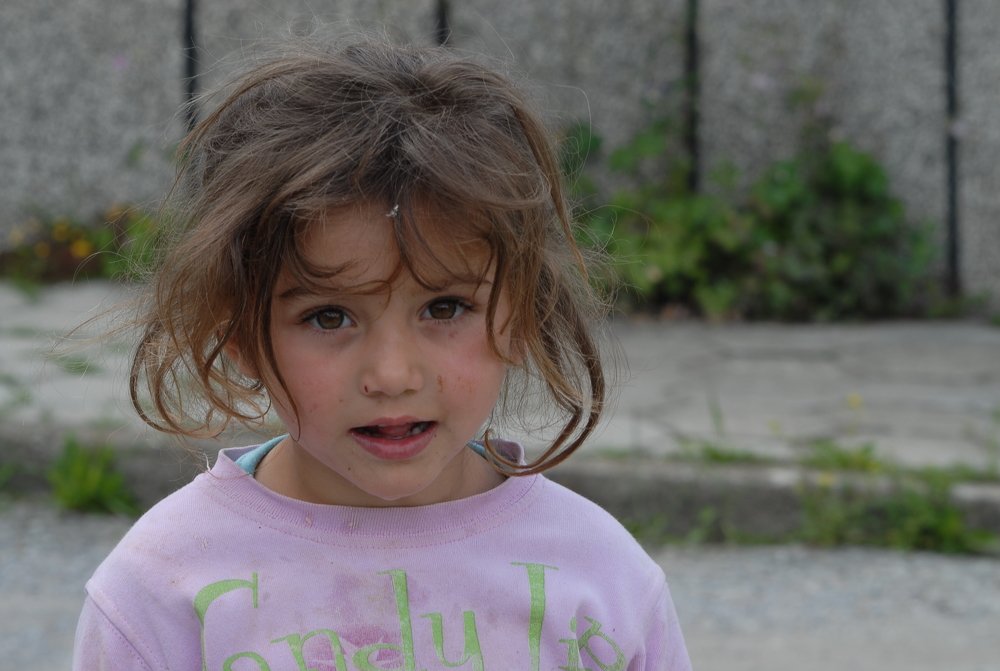 Photograph by Gülşen  Mutlu