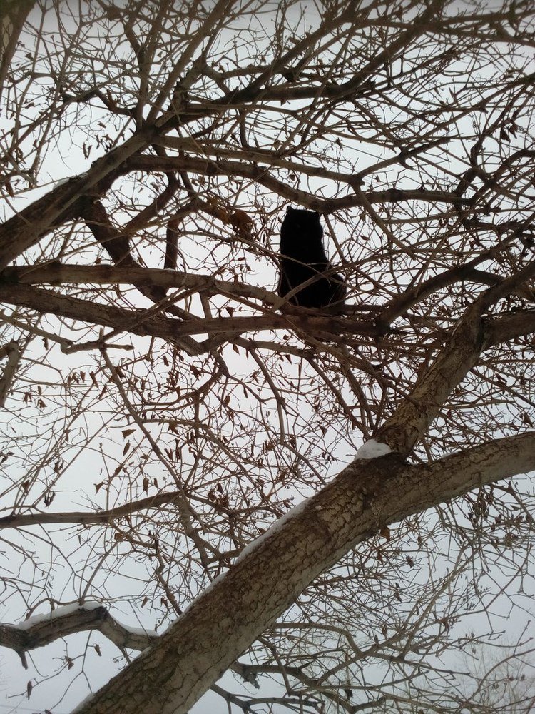 Photograph by Кристина