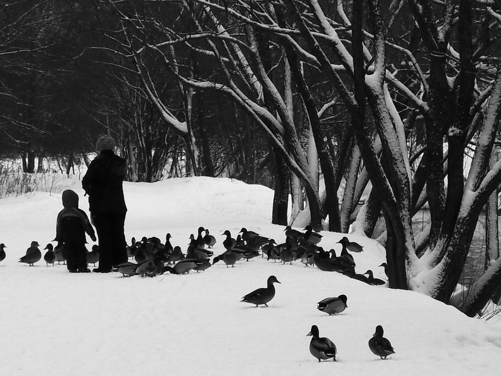 Photograph by Вадим Беляев