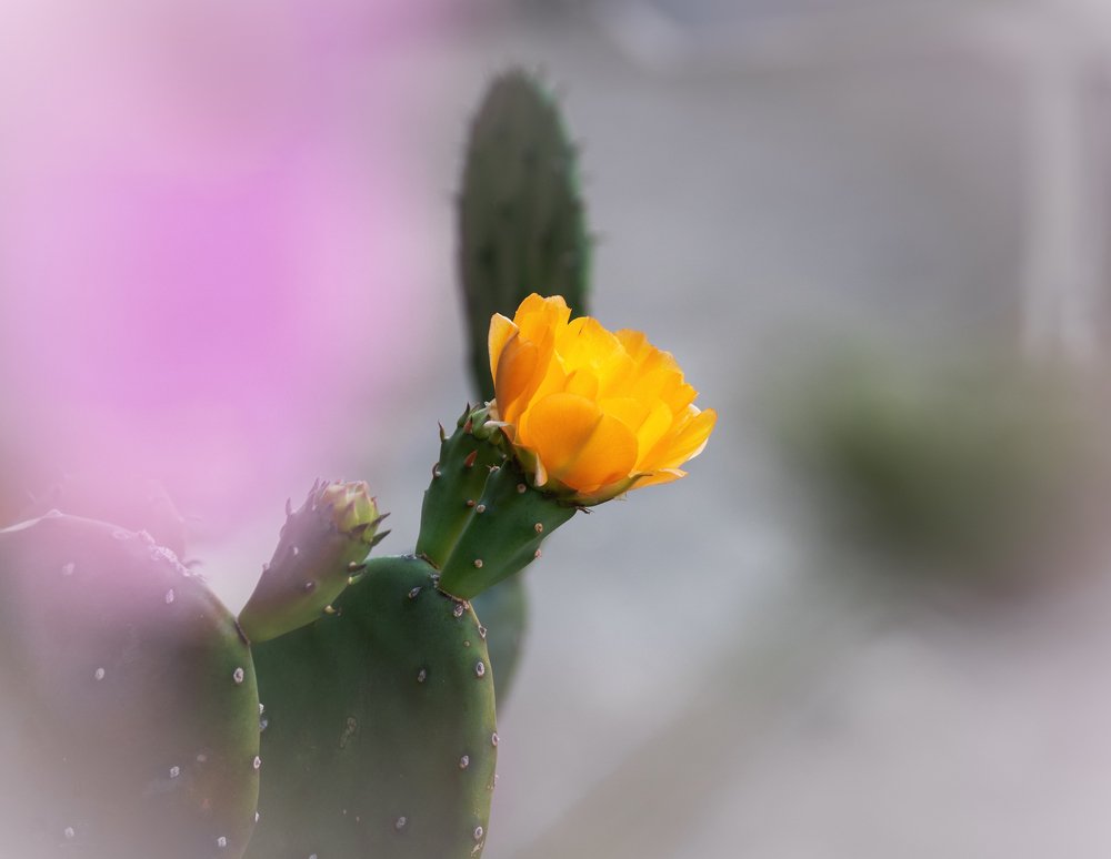 Photograph by Сергей Быков